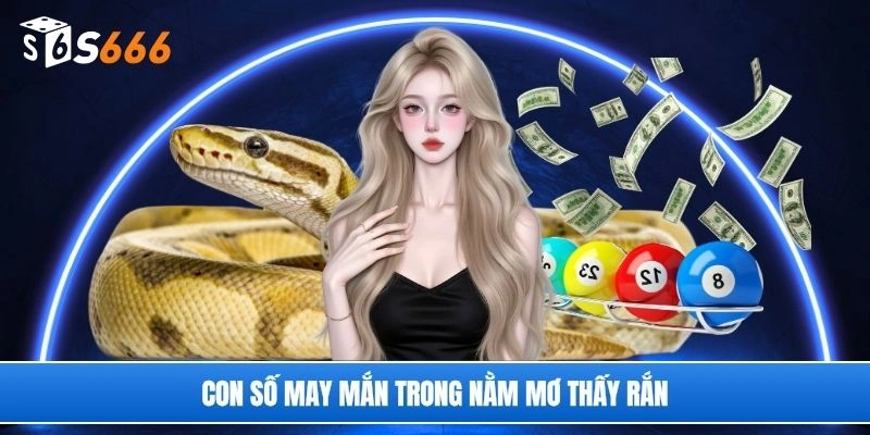 Con số may mắn trong nằm mơ thấy rắn