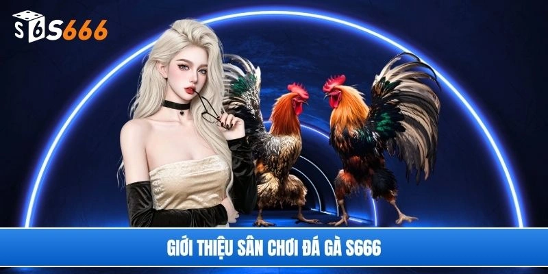 Giới thiệu sân chơi đá gà S666