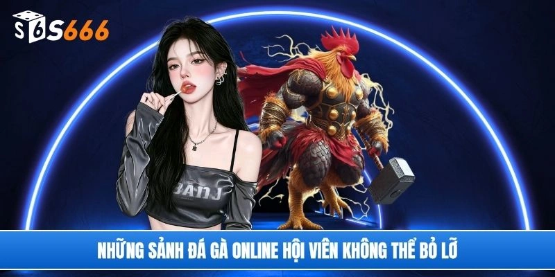 Những sảnh đá gà online hội viên không thể bỏ lỡ